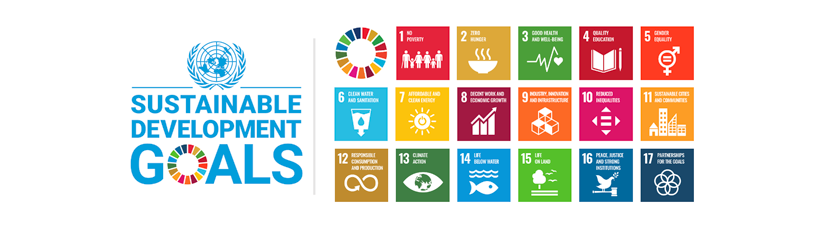 유엔지속가능발전목표(UN SDGs)